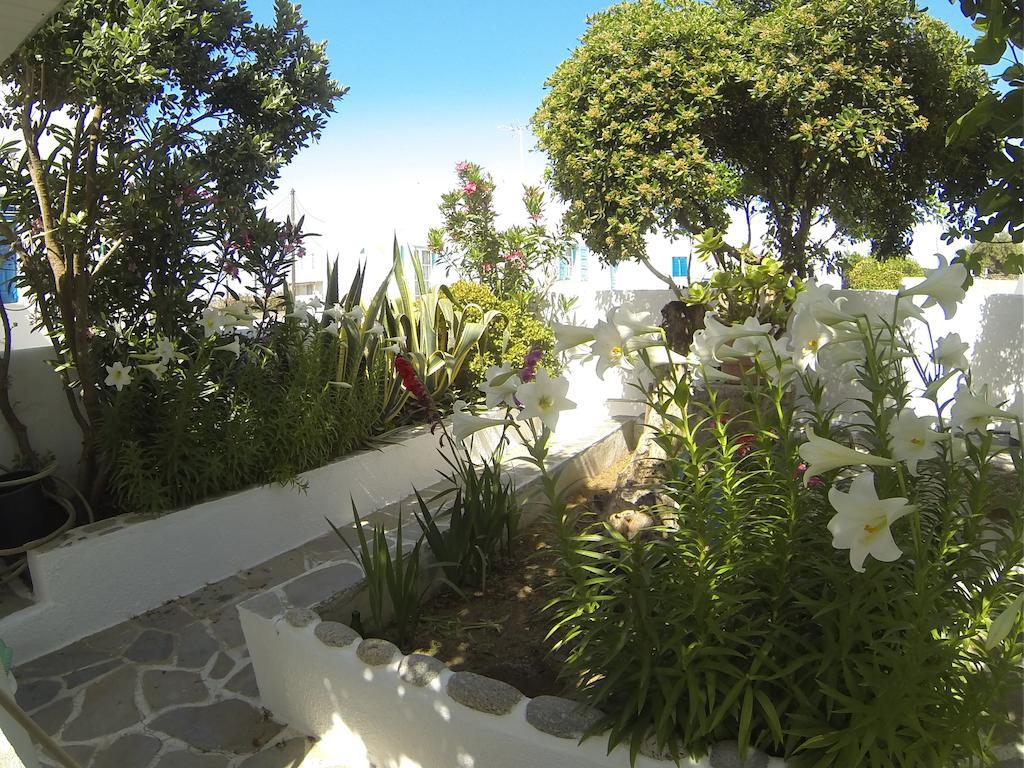 Mykonos Town Kavaki Studios חדר תמונה